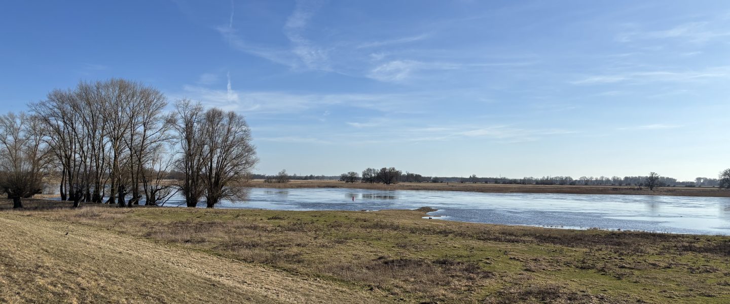 Elbaue und Elbe in Februar