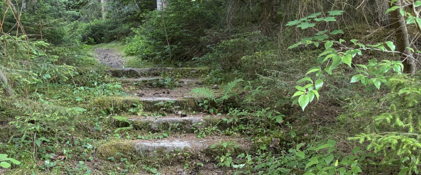 romantisch überwucherte Steintreppe im Schwarzwald