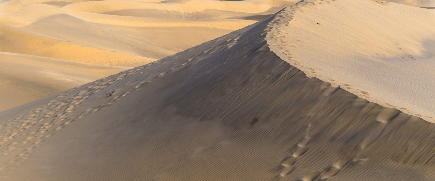 Sanddüne in der Wüste